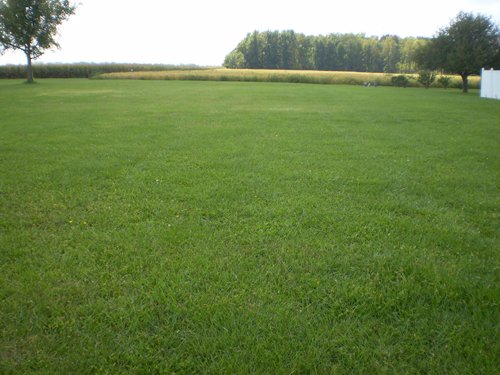 Property photo 27 - 75+/- Acres in 9 Tracts